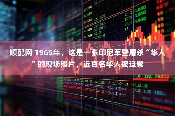 顺配网 1965年，这是一张印尼军警屠杀“华人”的现场照片，近百名华人被迫聚