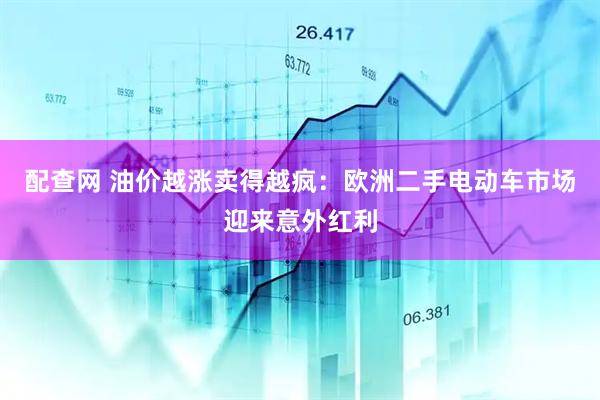 配查网 油价越涨卖得越疯：欧洲二手电动车市场迎来意外红利