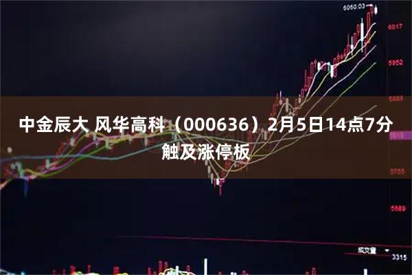 中金辰大 风华高科（000636）2月5日14点7分触及涨停板
